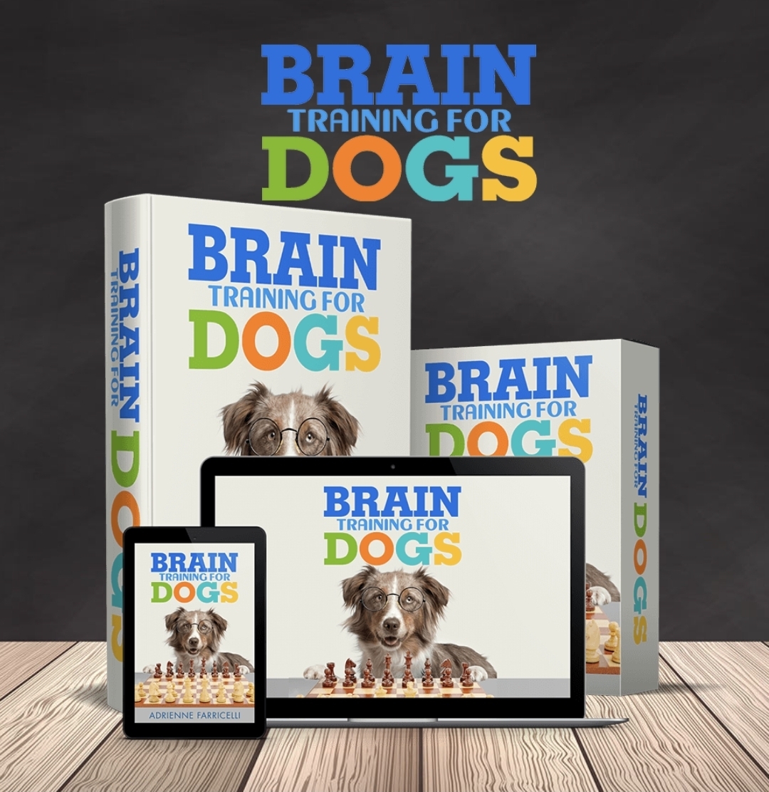 Brain Training for Dogs